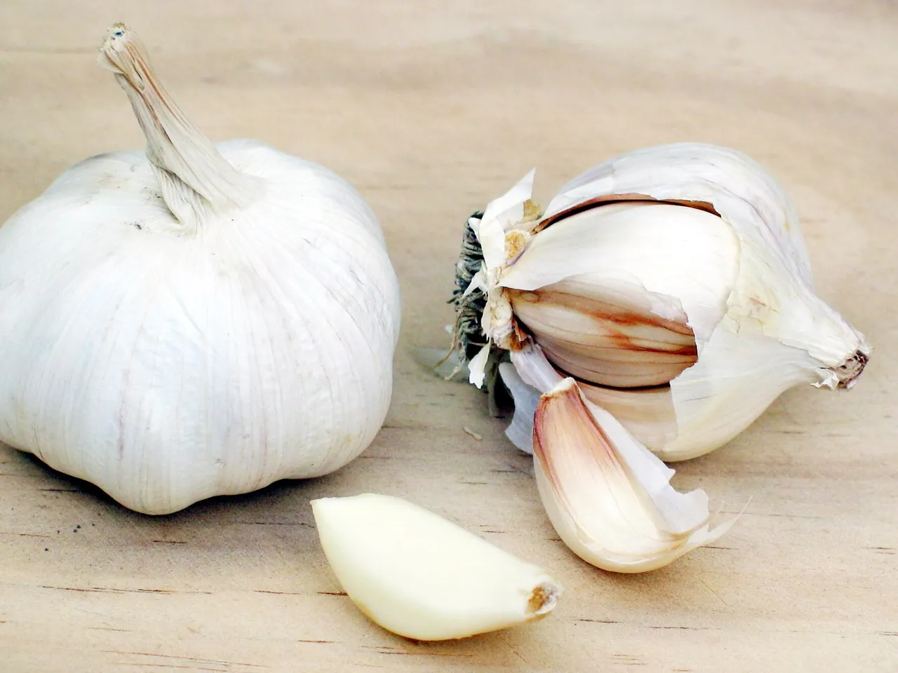 Garlic