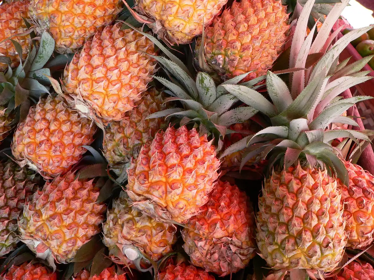Ananas