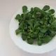 Corn salad