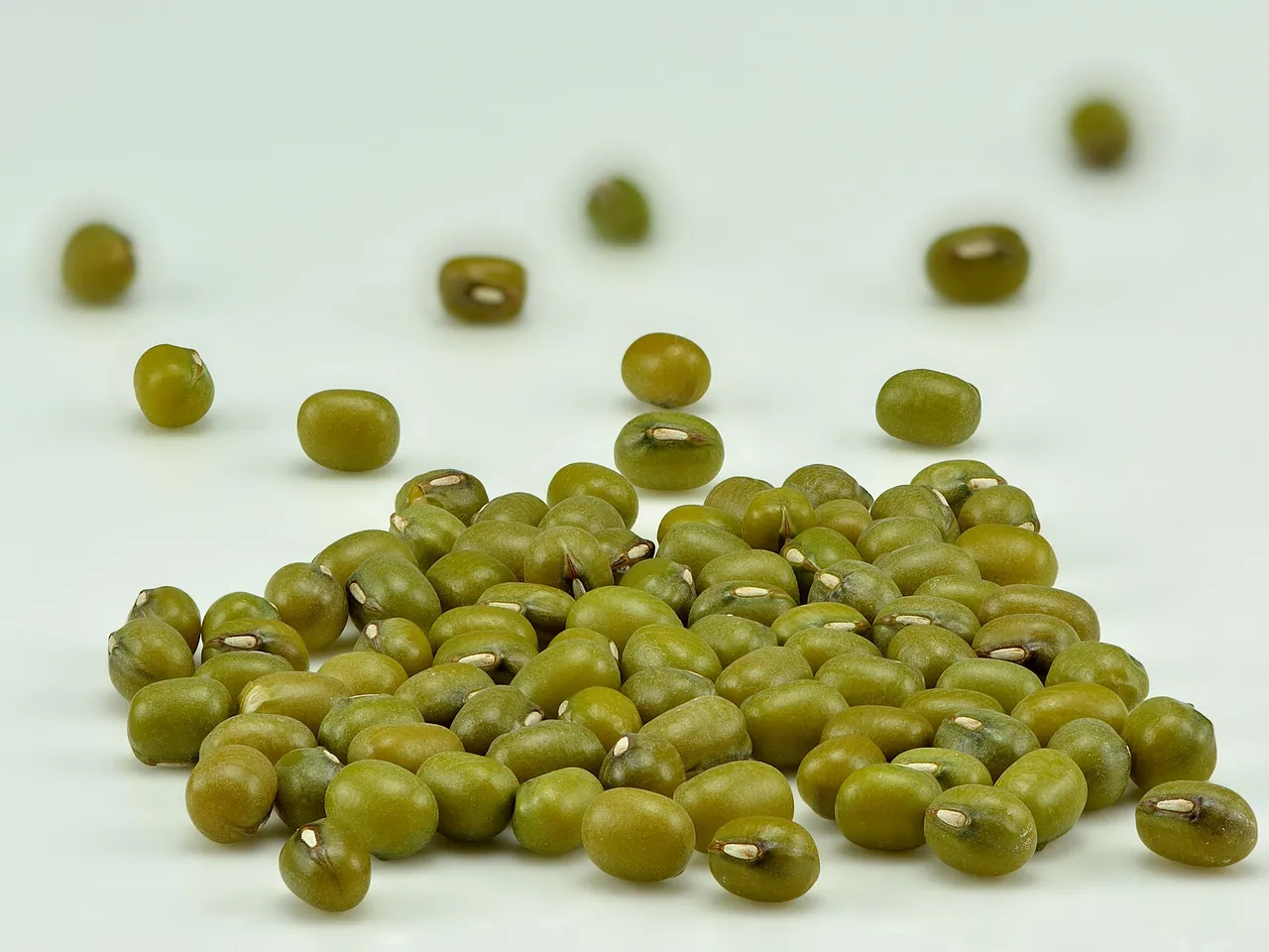 Green gram