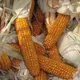 Maize
